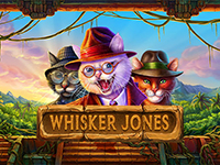 1x2-whiskerjones elin888